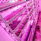 Image for article titled Chicago's Huge Vertical Farm Glows Under Countless LED Suns